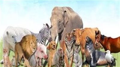 قصة الطبيب وما حدث معه أغرب ما يكون