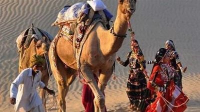 رواية جوازاجباري جميع الفصول كاملة بقلم يمني محمد