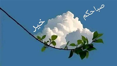 قصة الخط@يئه الاولي كامله جميع الفصول