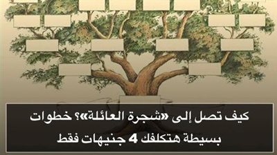كيف تصل إلى «شجرة العائلة»؟.. خطوات بسيطة هتكلفك 4 جنيهات فقط