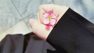 رواية قلب متكبر جميع الفصول الشيقة 