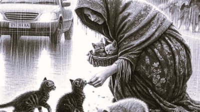 رواية صدقة زينب جميع الفصول كاملة