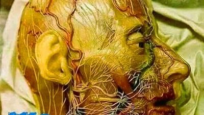قصه وعبره