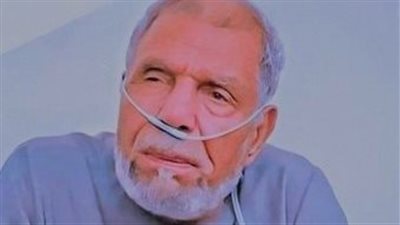 الشيخ الشعراوى