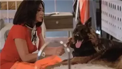 واخيرا.. السبب بايقاف عرض فيلم اوراق التاروت للفنانة رانيا يوسف